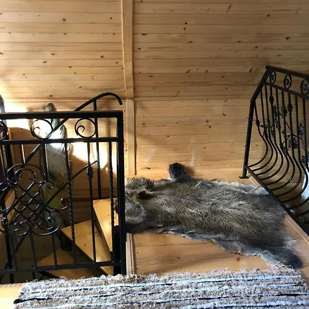 Lesna Glusza 木屋 Obidza